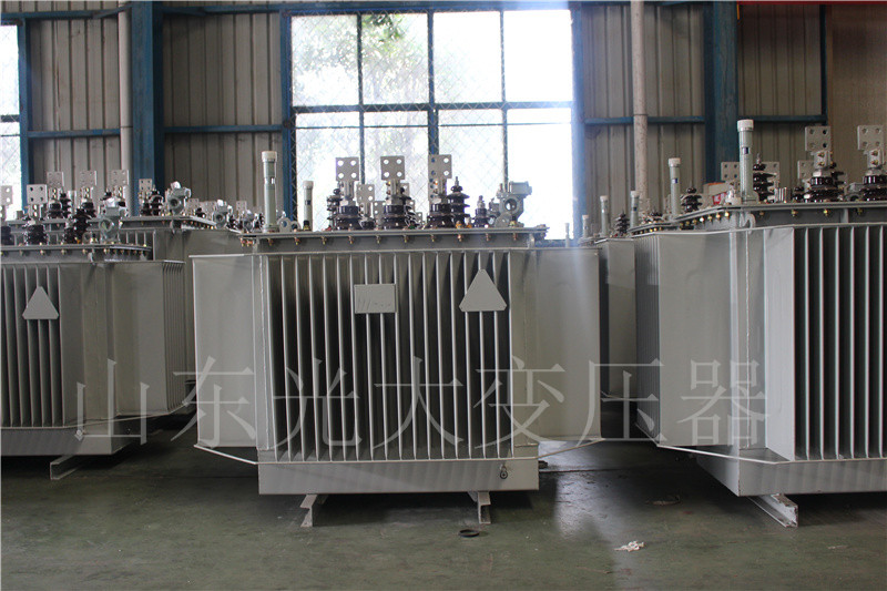 祁县S20-500KVA/10KV